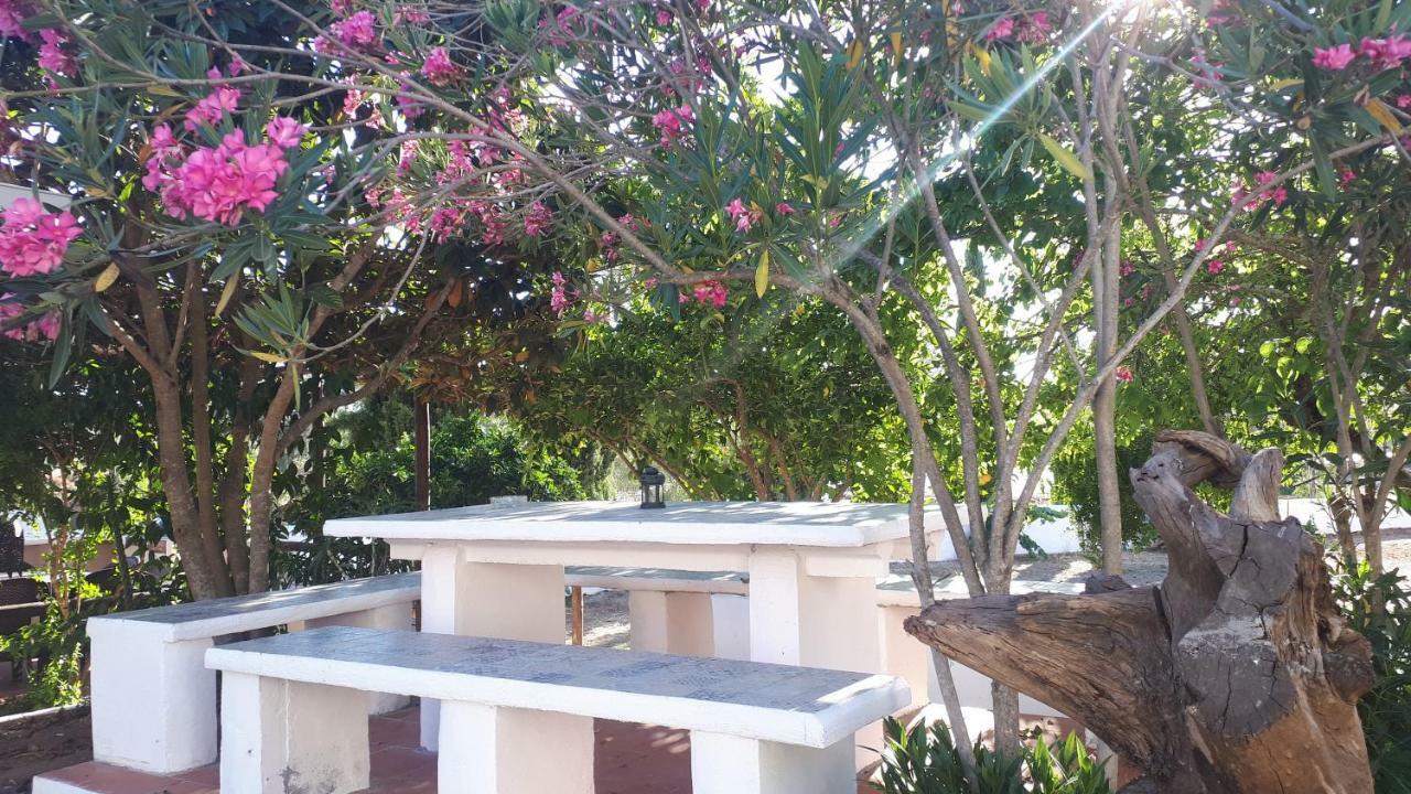 Palacete Dos Alcaides Minas de São Domingos Extérieur photo